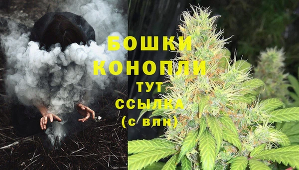 дживик Беломорск
