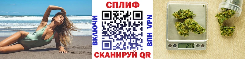 Бошки Шишки THC 21%  купить закладку  Курильск 